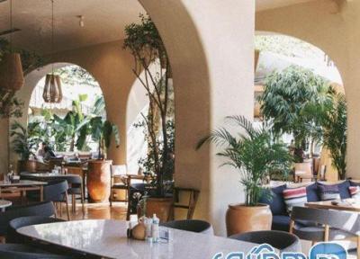 کافه رستوران آولی اندرزگو (Avli): آنالیز جامع فضای بوهمین، منو و امتیاز کاربران کافه رستوران آولی اندرزگو (Avli): آنالیز جامع فضای بوهمین، منو و امتیاز کاربران